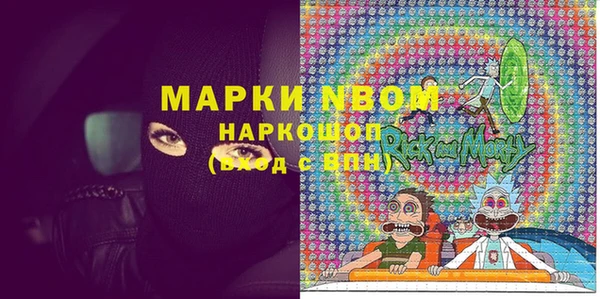ECSTASY Богородицк