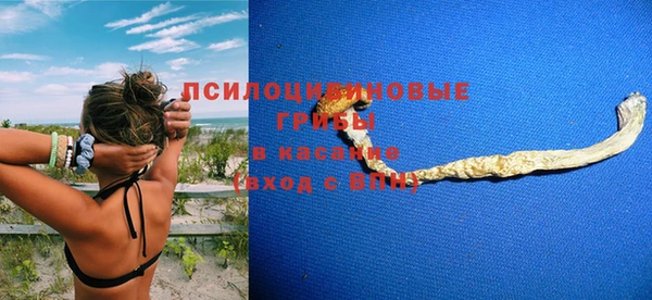 ECSTASY Богородицк
