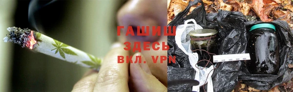 ECSTASY Богородицк