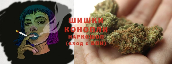 ECSTASY Богородицк