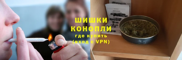 бутират Богданович