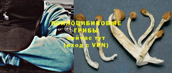 бутират Богданович