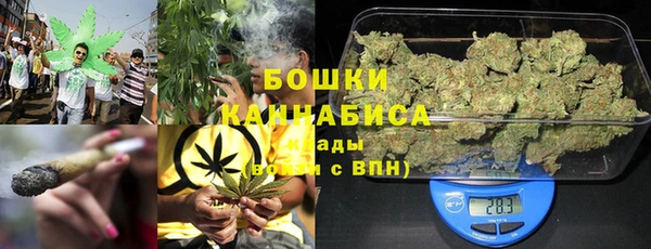бутират Богданович