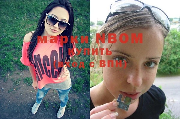 ECSTASY Богородицк