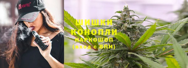 ECSTASY Богородицк