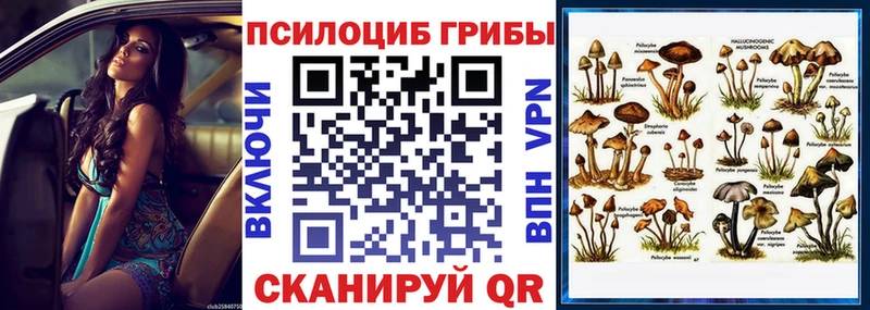 Псилоцибиновые грибы MAGIC MUSHROOMS  Белоозёрский 